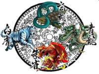 云南中视快运物流有限公司
