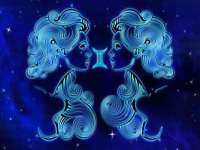 云南中视快运物流有限公司