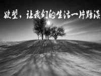云南中视快运物流有限公司