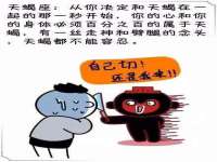 云南中视快运物流有限公司