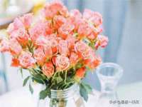 云南中视快运物流有限公司