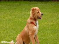云南中视快运物流有限公司