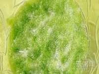 云南中视快运物流有限公司