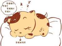 云南中视快运物流有限公司