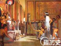云南中视快运物流有限公司