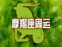 云南中视快运物流有限公司