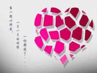 云南中视快运物流有限公司