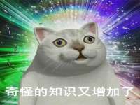 云南中视快运物流有限公司