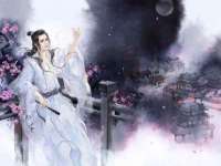 云南中视快运物流有限公司