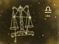 云南中视快运物流有限公司
