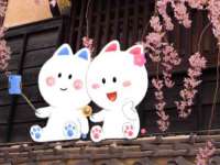 云南中视快运物流有限公司
