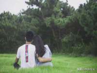 云南中视快运物流有限公司