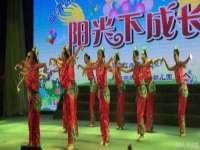 云南中视快运物流有限公司