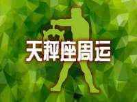 云南中视快运物流有限公司