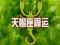 云南中视快运物流有限公司