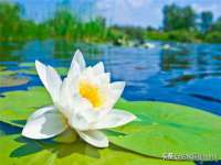 云南中视快运物流有限公司