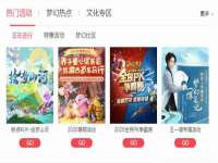 云南中视快运物流有限公司