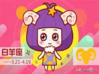 云南中视快运物流有限公司