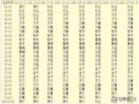 云南中视快运物流有限公司