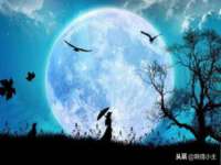 云南中视快运物流有限公司