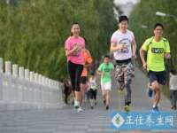 云南中视快运物流有限公司
