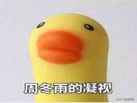 云南中视快运物流有限公司