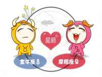 云南中视快运物流有限公司