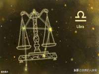 云南中视快运物流有限公司
