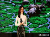 云南中视快运物流有限公司