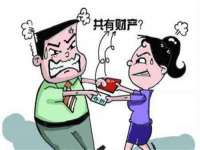 云南中视快运物流有限公司