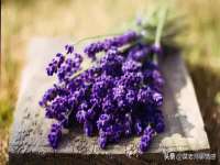云南中视快运物流有限公司