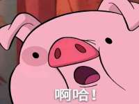 云南中视快运物流有限公司