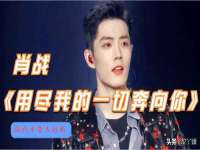 云南中视快运物流有限公司