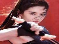 云南中视快运物流有限公司