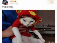 云南中视快运物流有限公司