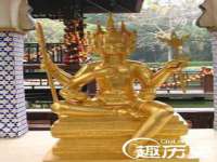 云南中视快运物流有限公司