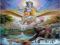 云南中视快运物流有限公司