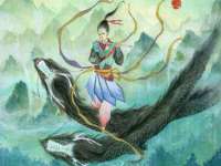 云南中视快运物流有限公司
