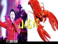 云南中视快运物流有限公司