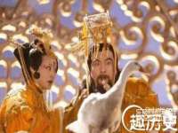 云南中视快运物流有限公司