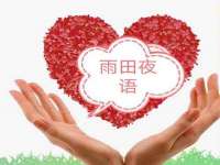 云南中视快运物流有限公司