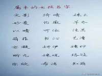 云南中视快运物流有限公司