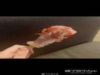 云南中视快运物流有限公司
