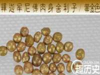 云南中视快运物流有限公司