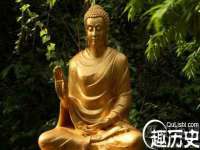 云南中视快运物流有限公司