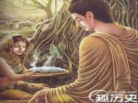 云南中视快运物流有限公司