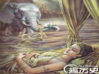 云南中视快运物流有限公司