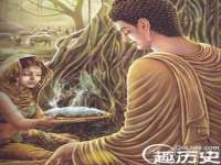 云南中视快运物流有限公司