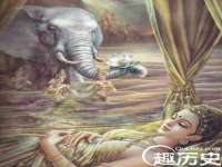 云南中视快运物流有限公司