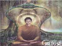 云南中视快运物流有限公司